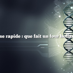 Réponse rapide : que fait un four hollandais ?
